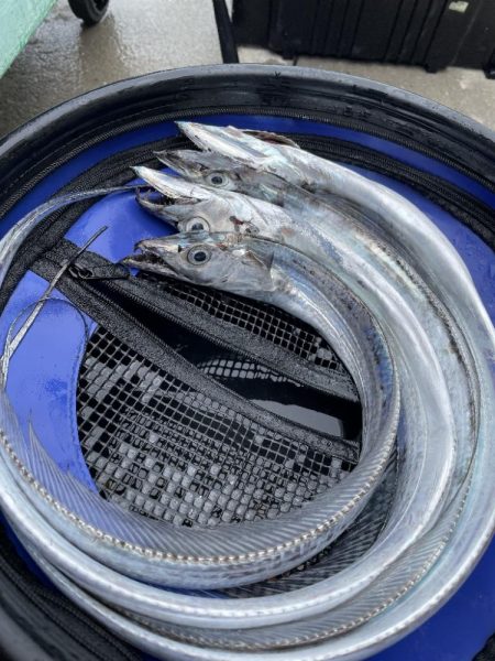 タイラバのつもりが