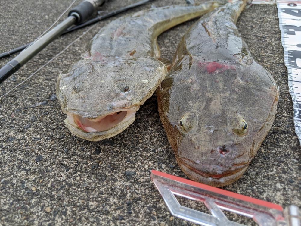 ボートキャスティング