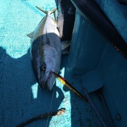 ワンデイバトルin白浜の参