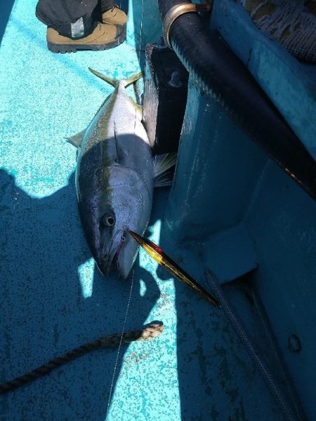 ワンデイバトルin白浜の参