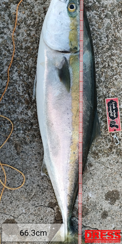 今シーズン2匹目サイズアップ