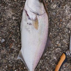 2022播磨遠征初回