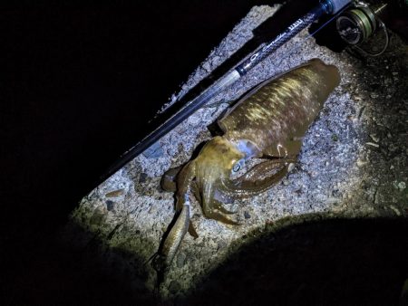 40杯以上！やっぱSMTはすごい(・×・)…