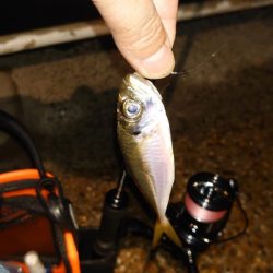 風速体感4m以上