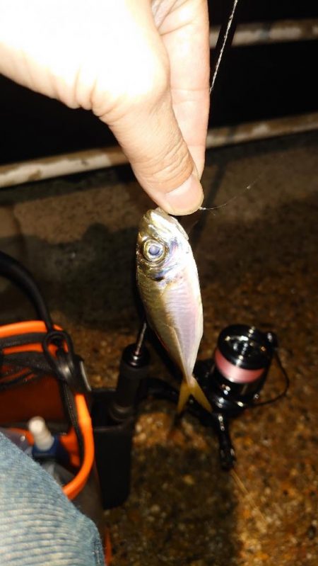 風速体感4m以上