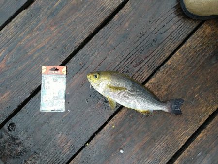 天候不良でも海上釣り堀へ☆