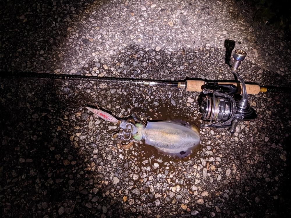 爆風の中6杯(-x-*)…