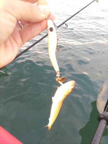 貝塚人工島カヤックで...