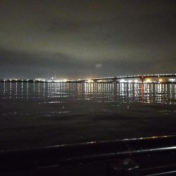 秋の朝練、サバだらけ