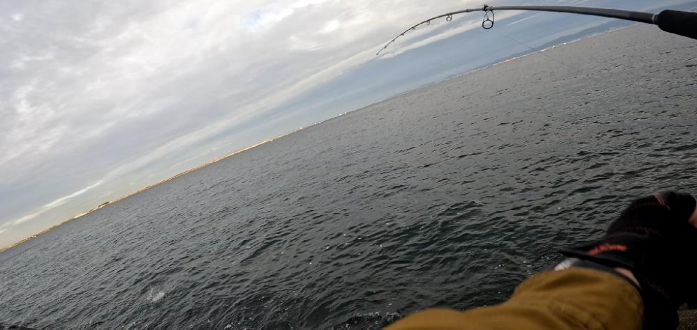 足ガクガク(。ŏ﹏ŏ)