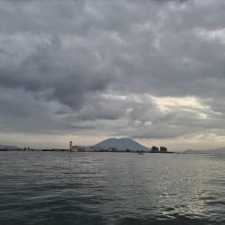 ダツ（外道）が釣れました!