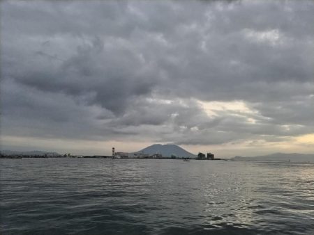 ダツ（外道）が釣れました!