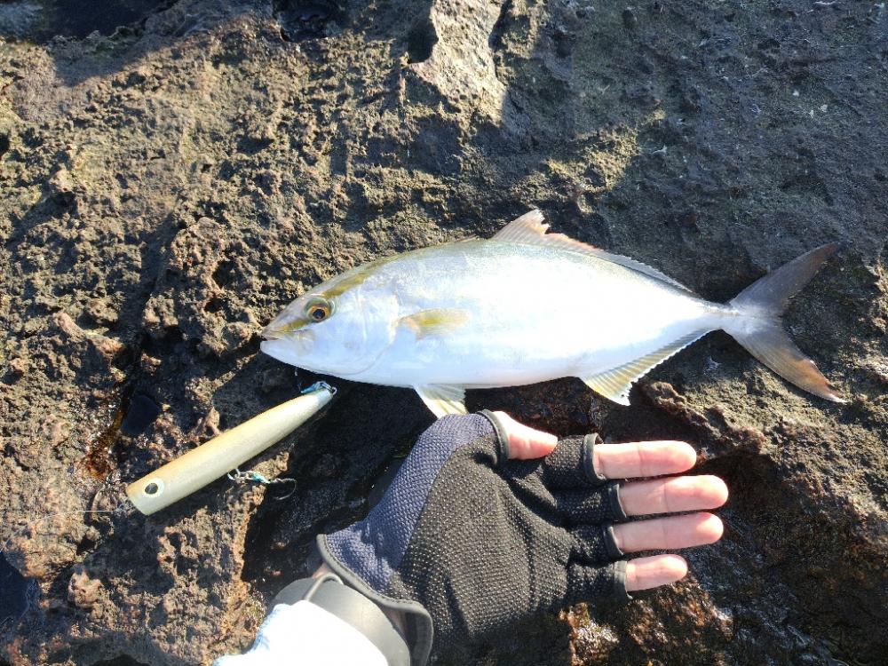 和歌山ロックショア