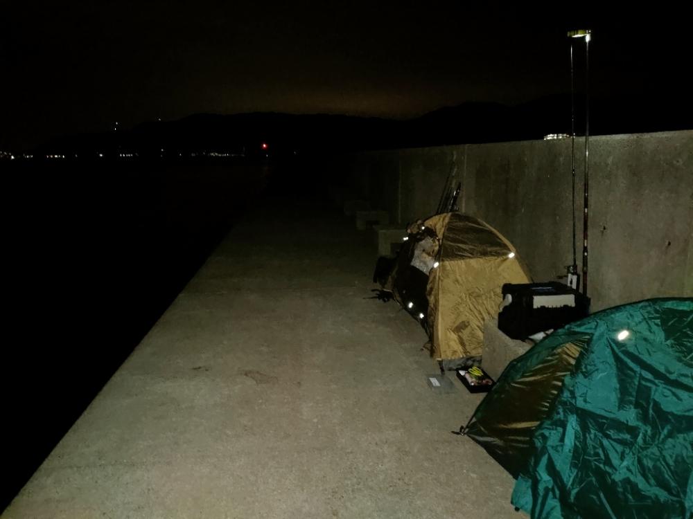 淡路島 富島港でアナゴ、小アジ、チャリコ