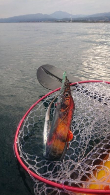 カヤックフィッシング