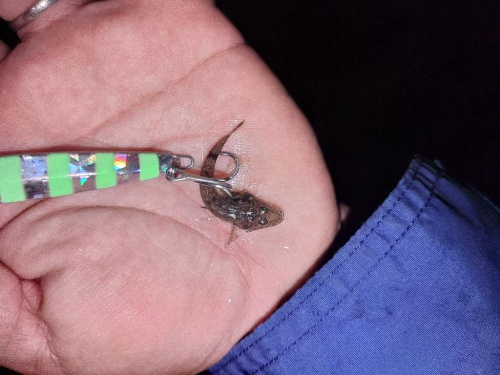 ついにキターー♪