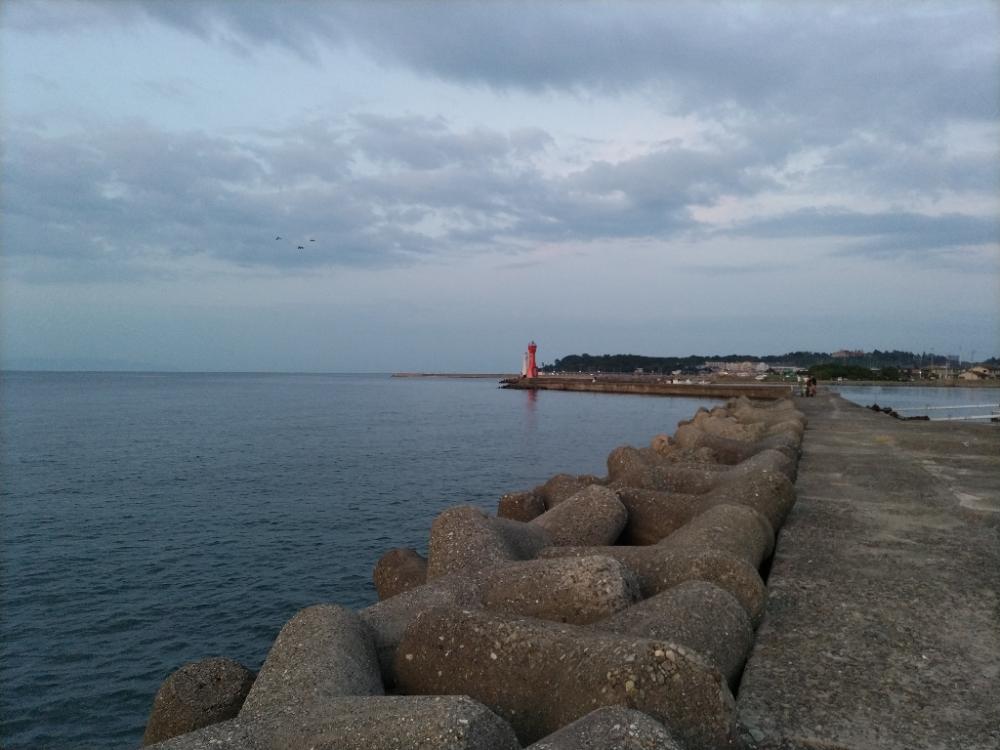 タチウオ渋すぎ