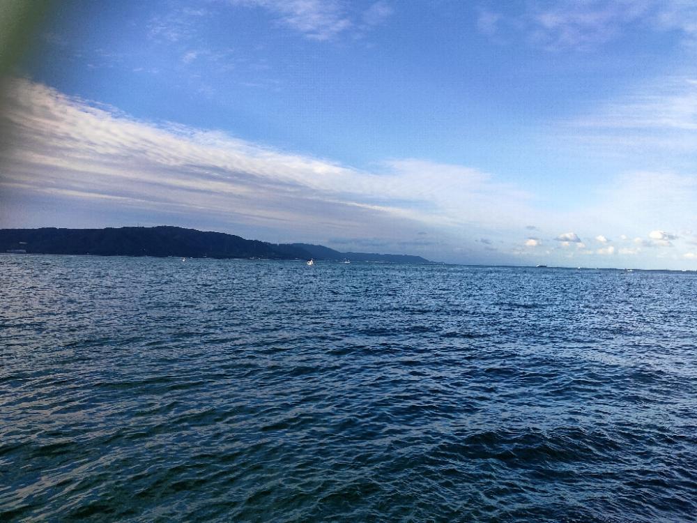 今シーズン初タチウオ