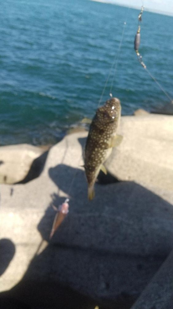 チャリコ、チャリコ、バリ…