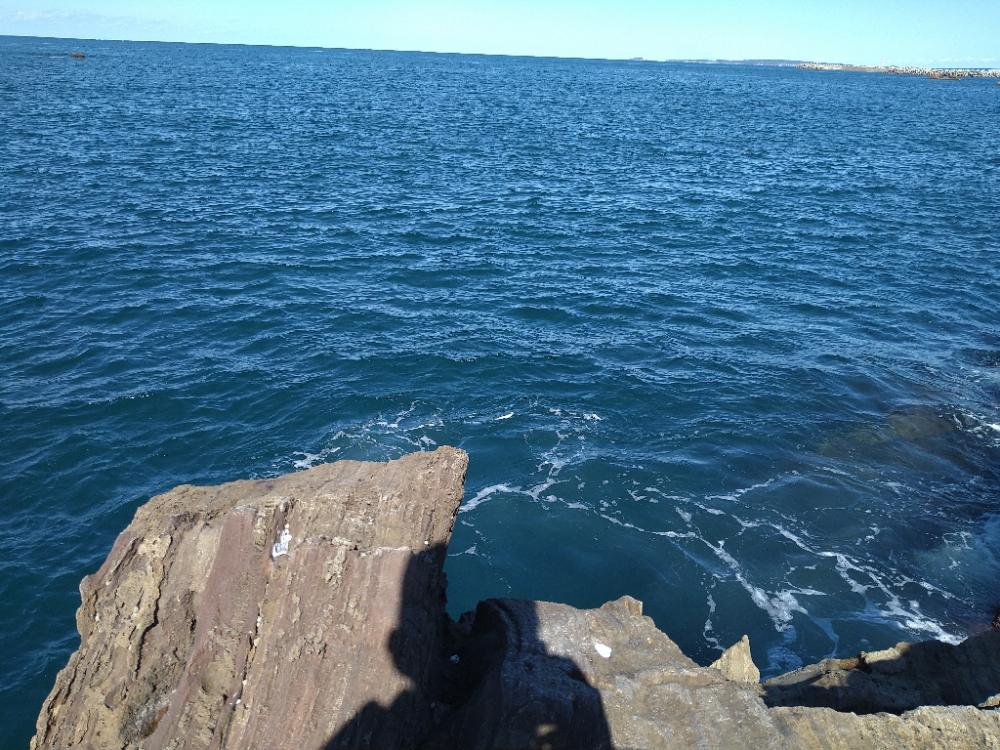 沖磯から青物狙い