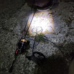 ランガンの末…