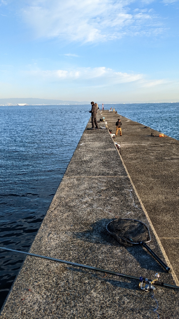 岸和田一文字青物惨敗カワハギに癒やされる