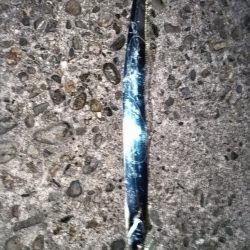 タチウオ楽しい