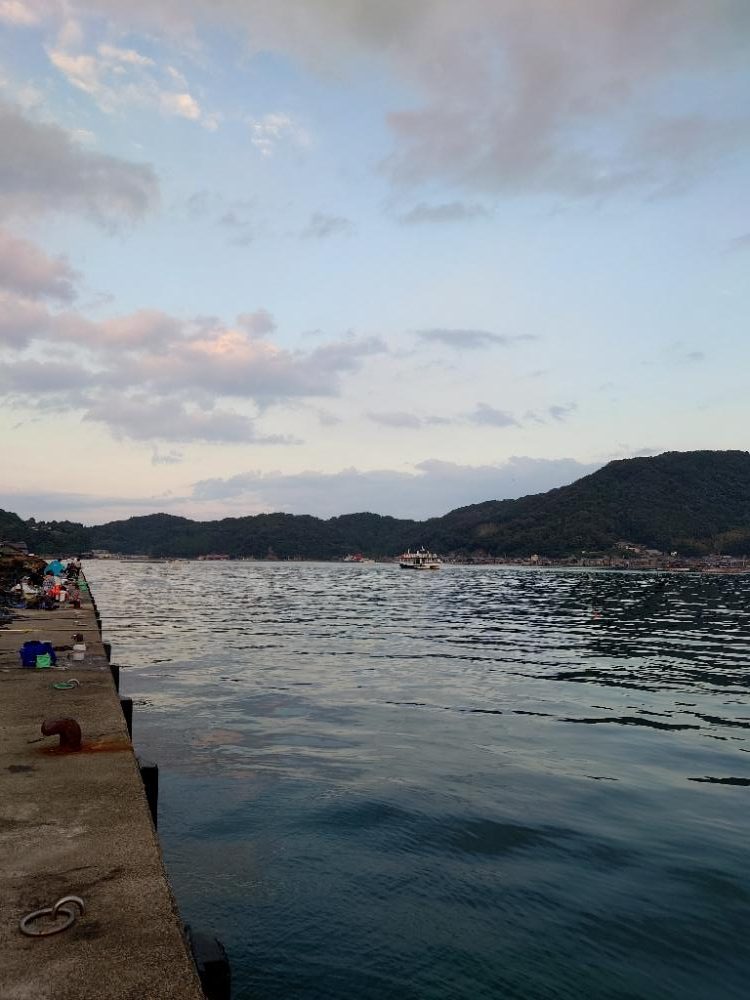 ショアジギング