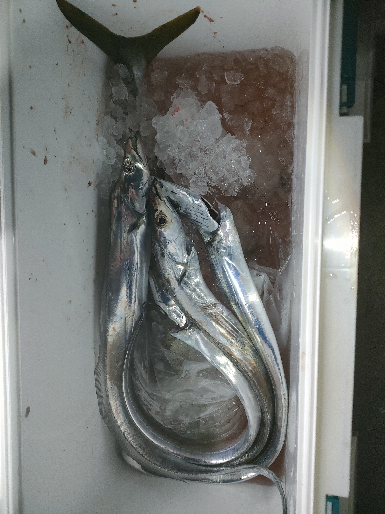 お昼からゆっくり