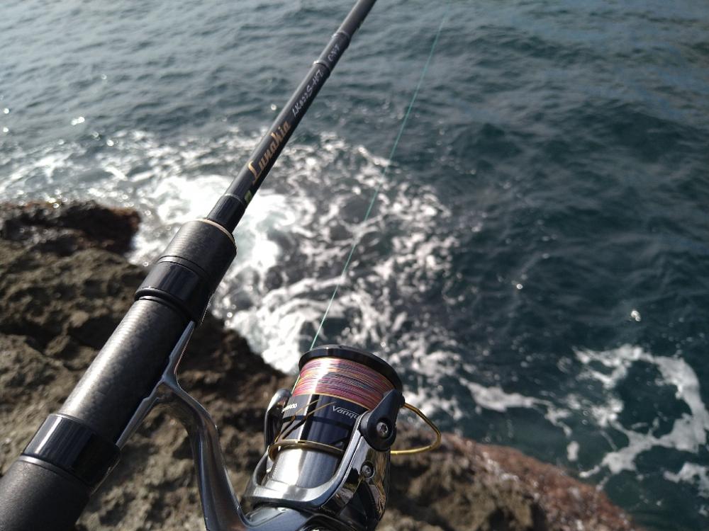 秋イカ開幕サイズゲット