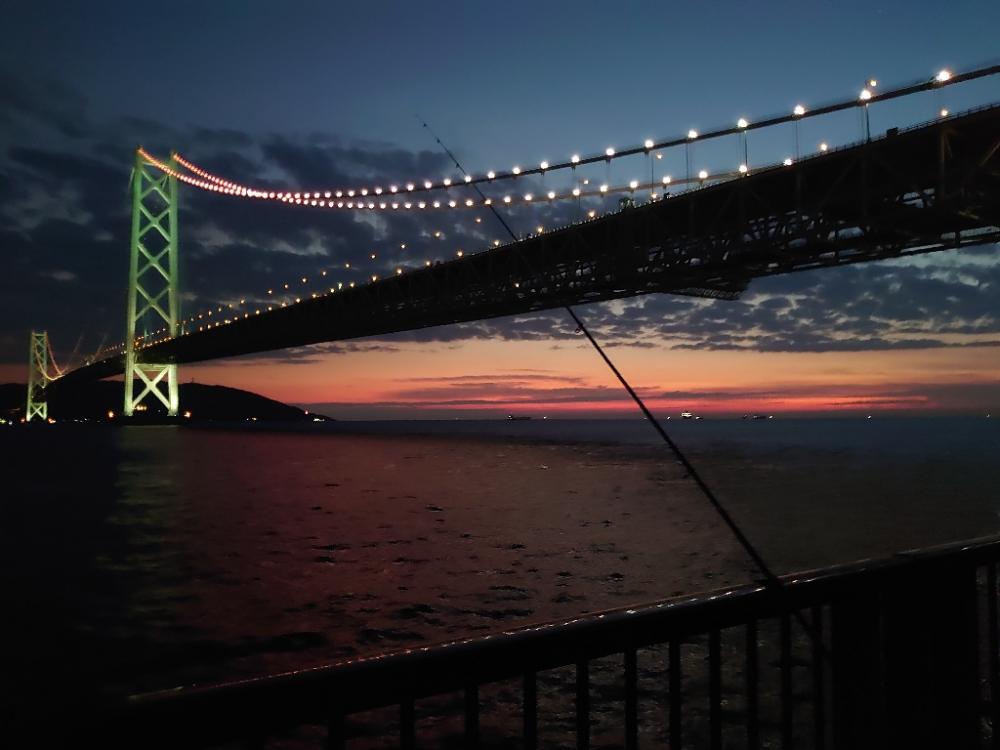 青物ノマセ釣りでアジのみ