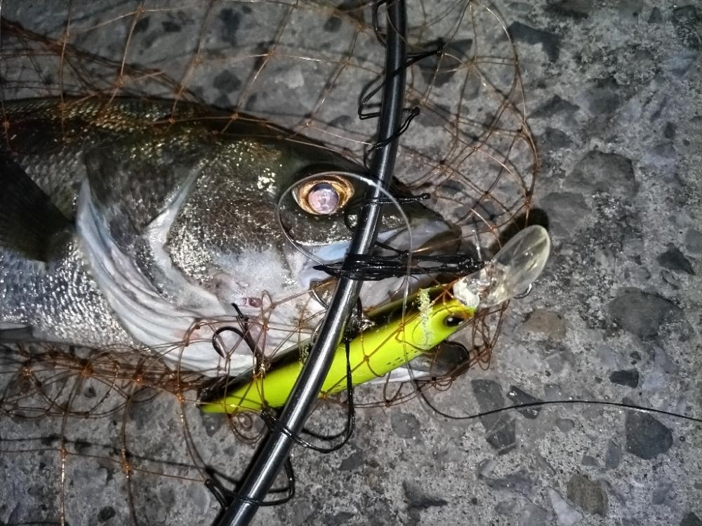 2バイト1バラし1キャッチ