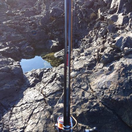 ドキドキの予感