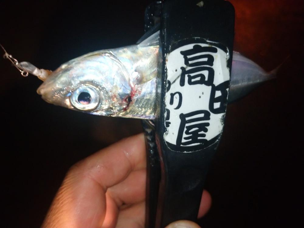 やっちまったな～😂