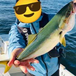 青物ナブラ撃ちとジギングで東京湾五目釣り