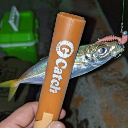 エステルラインの洗礼…