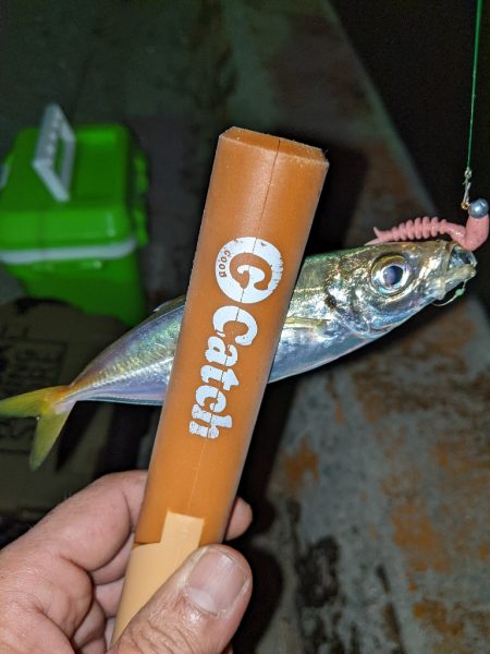 エステルラインの洗礼…