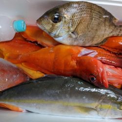 オフセットフックの可能性✨