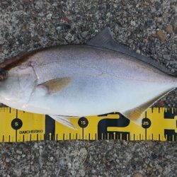 2022播磨遠征第2回