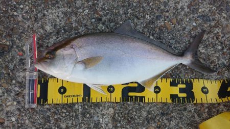 2022播磨遠征第2回