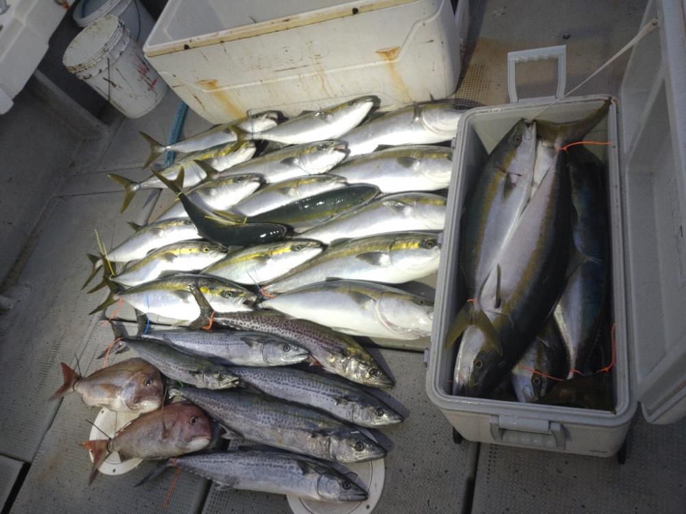 岩国沖開幕！！！