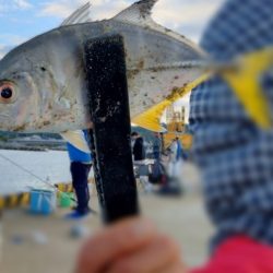 近場ライトゲーム