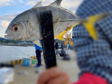 近場ライトゲーム