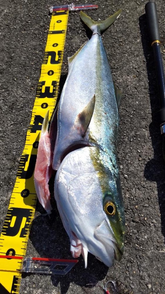 武庫一リベンジ!