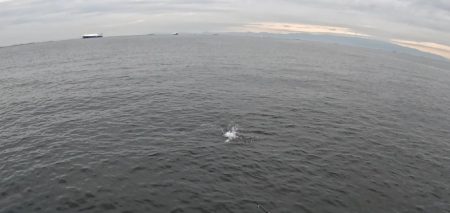 今日はジグがよくあたる(*^^*)