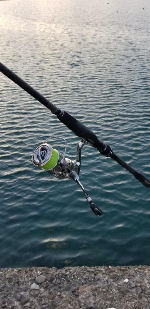 タチウオ　ここしか釣れない