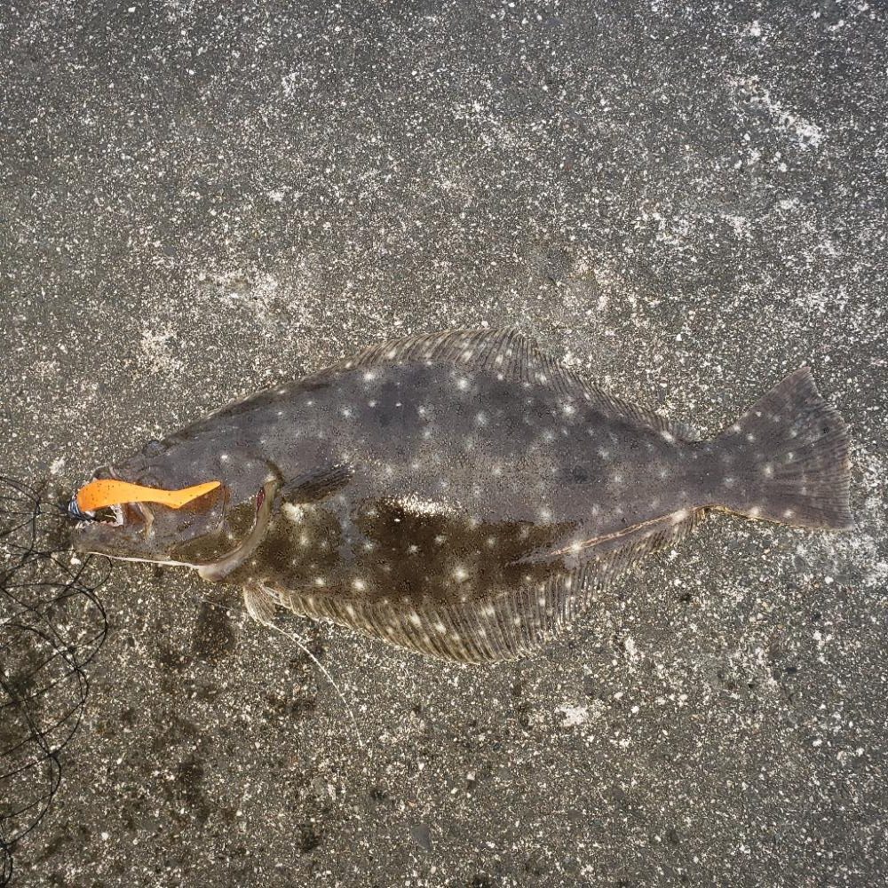 オレンジ色の憎いヤツ！