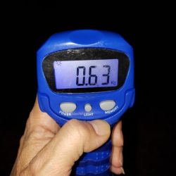 エギング⑧エギング