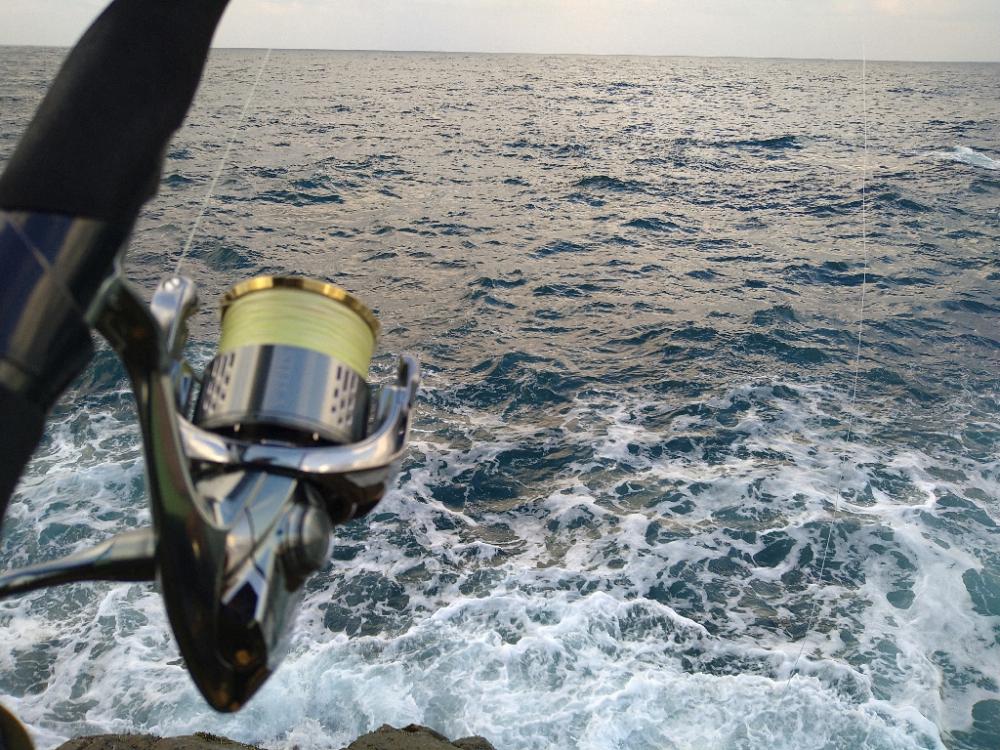 ちょいあれの青物祭り