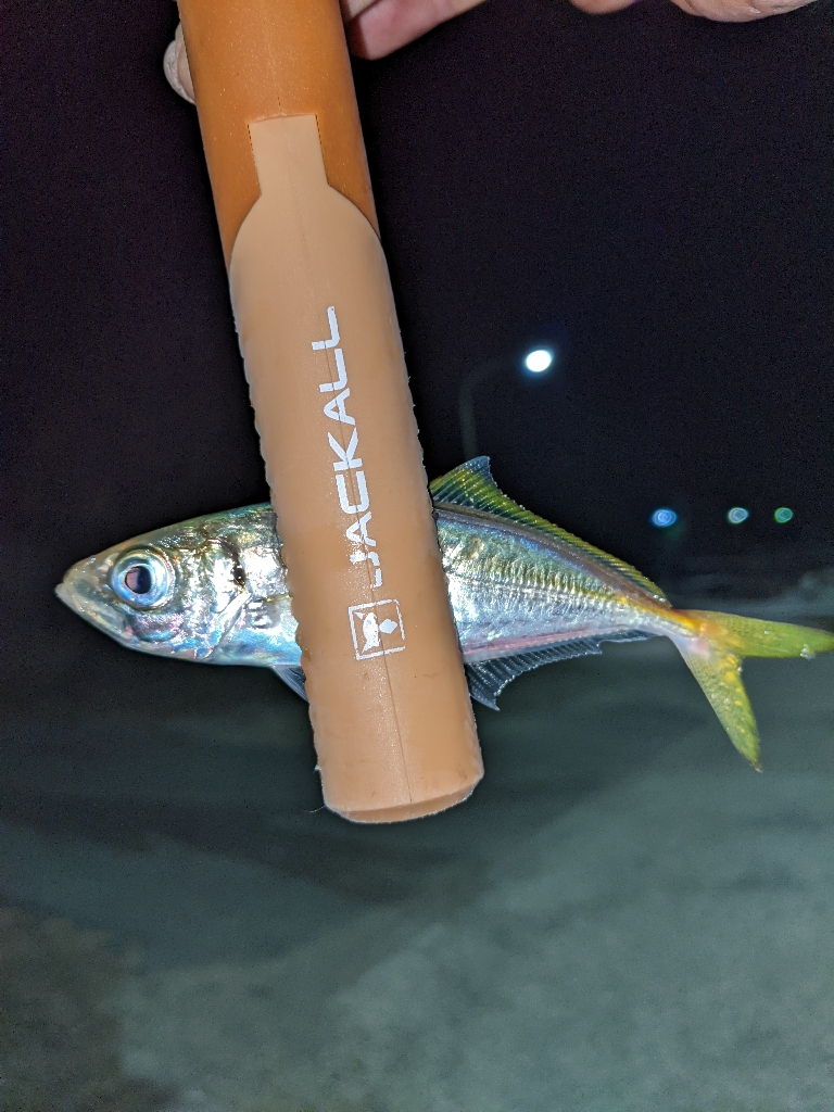 アジジジジング